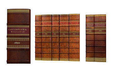 Biblioteka - aranżacja